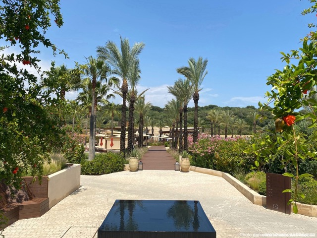 Terrain pour projet à bâtir à Sotogrande, Cádiz - Costa Del Sol, Espagne